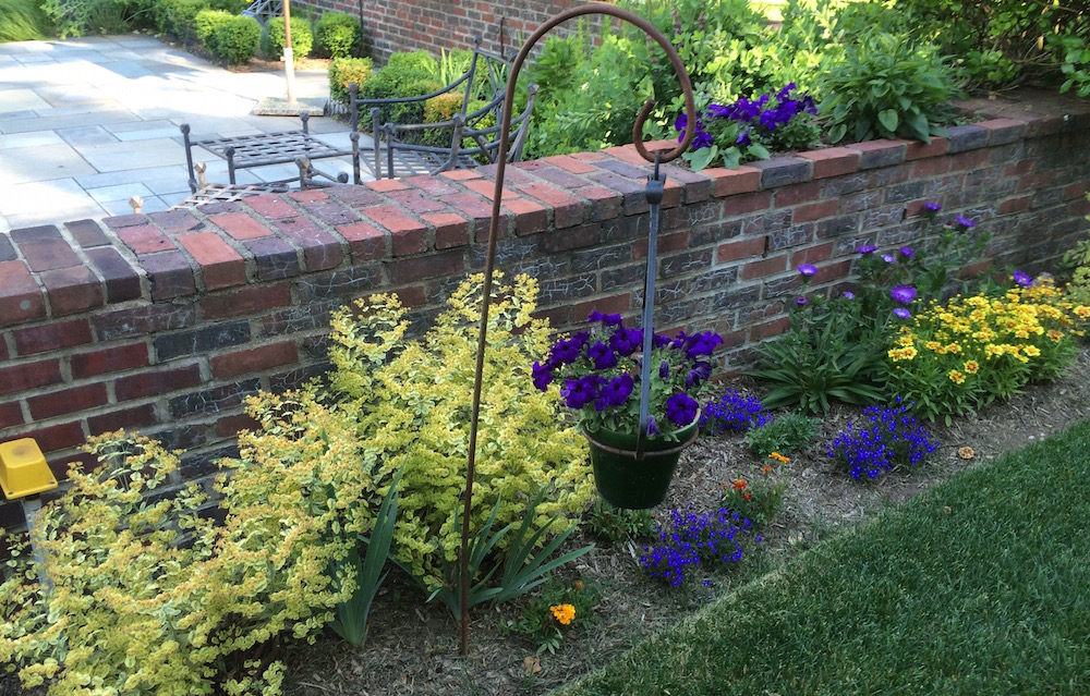 a mix of perennial and annual plants in a Montclair NJ garden