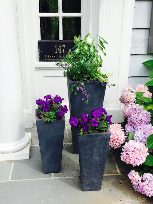 Annual flowers arranged on a Montclair NJ porch