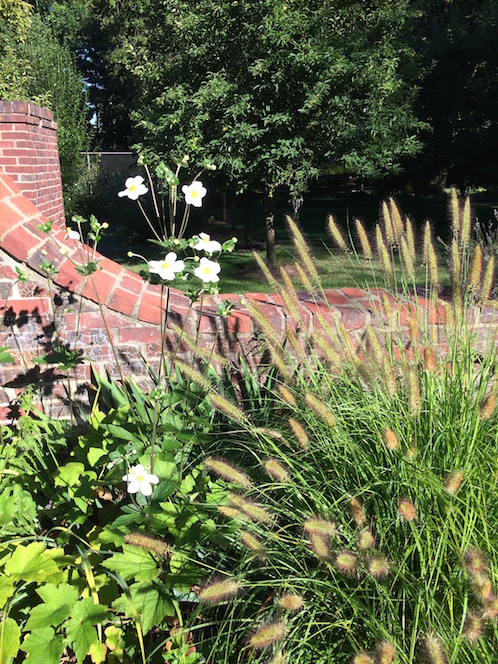 Montclair landscape design in summer