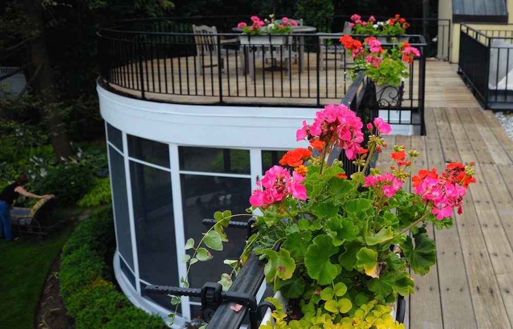 taking in annuals to overwinter in the house