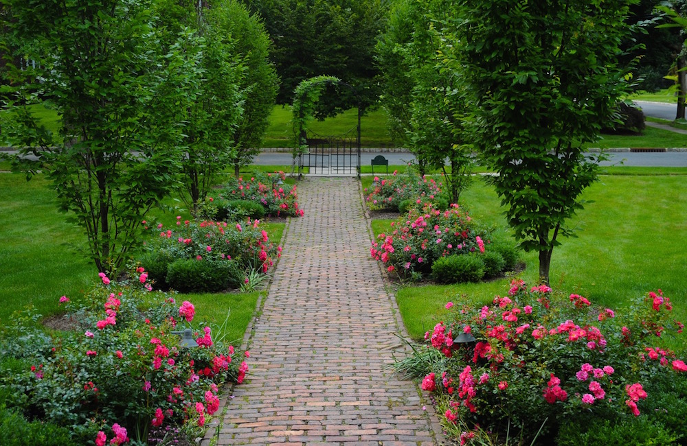 flowers blooming on a garden pathway in Montclair