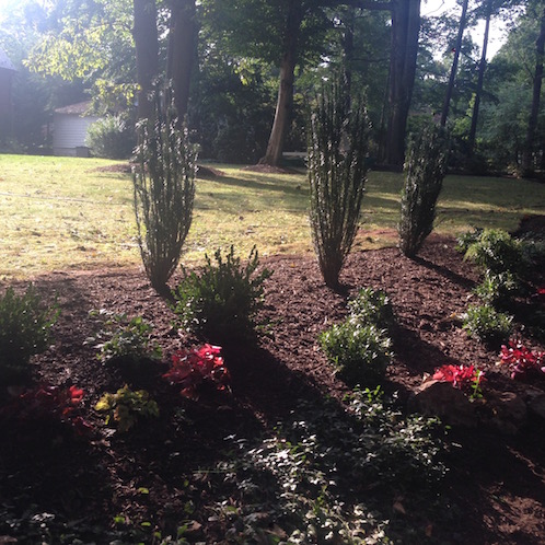 after photos of landscaping project in Montclair