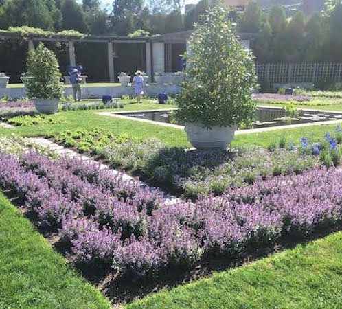 gardens seen on trip to Newport Flower Show