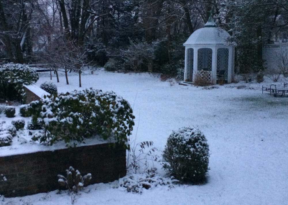 Christmas Garden in Montclair NJ