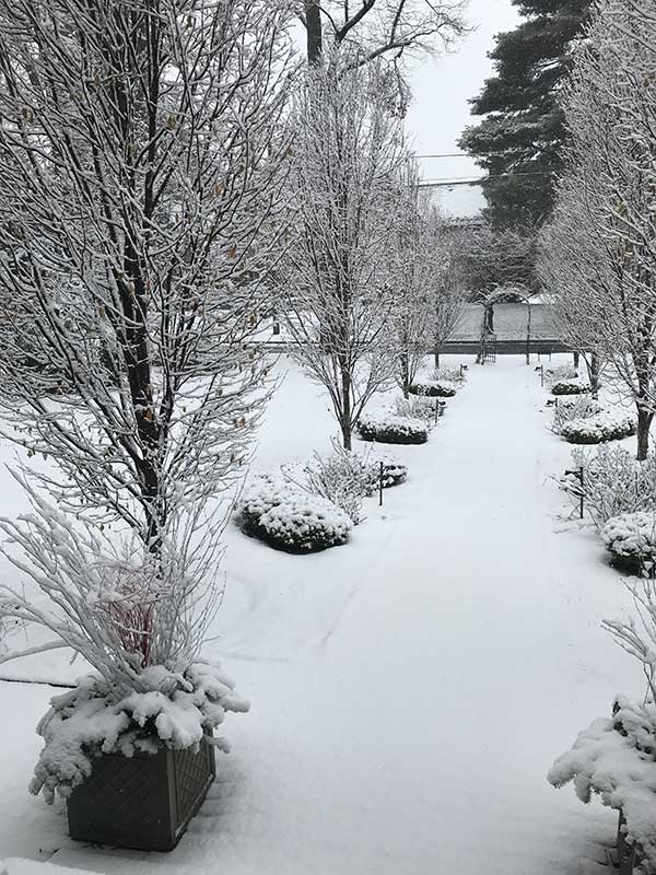 Winter Garden Path